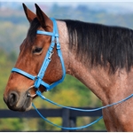 WHITE Traditional HALTER BRIDLE with BIT HANGERS made from BETA BIOTHANE