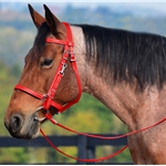 WHITE Traditional HALTER BRIDLE with BIT HANGERS made from BETA BIOTHANE