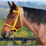 WHITE Traditional HALTER BRIDLE with BIT HANGERS made from BETA BIOTHANE