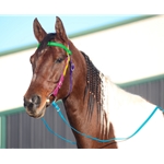 Rainbow WESTERN BRIDLE made from BETA BIOTHANE (5 Colors Mix N Match)