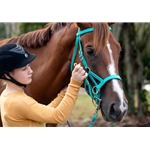 Convertible Bitless Bridle made from BETA BIOTHANE (Solid Colored)