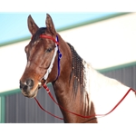 Tricolor WESTERN BRIDLE made from BETA BIOTHANE (3 Colors Mix N Match)