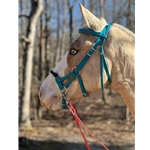 Beta Biothane Sidepull Bitless Bridle with Rope Noseband | Two Horse Tack