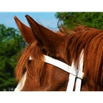 white BETA BIOTHANE Regular Browband