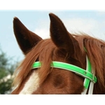 limegreen BETA BIOTHANE Regular Browband