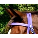 purple BETA BIOTHANE Regular Browband