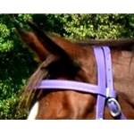 purple BETA BIOTHANE Regular Browband