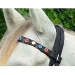 black BETA BIOTHANE Regular Browband