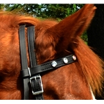 black BETA BIOTHANE Regular Browband