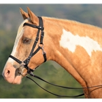 HORSE SIZE Quick Change Halter Bridle made from BETA BIOTHANE