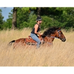 WESTERN BRIDLE (Full Browband) made with REFLECTIVE DAY GLO Biothane