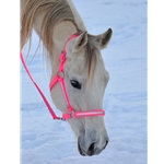 Any Color REFLECTIVE Turnout Halter made with Beta Biothane and Reflective Overlay