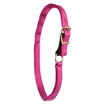 ****DISCOUNTED TACK*** $12 Raspberry Pink Nylon Turnout Neck Collar with Leather Safety Breakaway - Horse Size