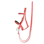 ****DISCOUNTED TACK*** $55 Red Halter Bridle with Neoprene Padding and matching Reins - Cob Size