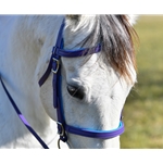 PADDED ENGLISH CONVERT A BRIDLE made from BETA BIOTHANE with COLORED SYNTHETIC PADDING