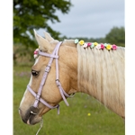 pink BETA BIOTHANE English Convert-A-Bridle 