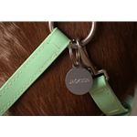 HALTER, BRIDLE, BLANKET or DOG Hanging Name Plates