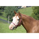 WESTERN BRIDLE (Full Browband) made from BETA BIOTHANE (Solid Colored