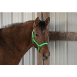 ****LIMITED QUANTITY SALE*** Ready to Ship $18 Lime Green Turnout Halters with Throatlatch Snap - Cob Size