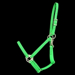 ****CLEARANCE ITEM*** $15 Lime Green Beta Biothane Halter - Large Pony Size