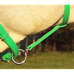 ENGLISH BRIDLE made from Beta Biothane (Solid Colored)