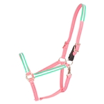DOG COLLAR made from BETA BIOTHANE (Solid Colored)