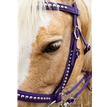 WESTERN BRIDLE (Full Browband) made from BETA BIOTHANE (with SILVER SPOTS or STUDS)