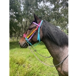 Traditional HALTER BRIDLE with BIT HANGERS made from BETA BIOTHANE (Solid Colored)
