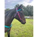 WESTERN BRIDLE (Full Browband) made from BETA BIOTHANE (Solid Colored