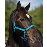 READY MADE - BLACK HALTER Made from Beta Biothane