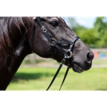 READY MADE - BLACK ENGLISH BRIDLE and REINS made from Beta Biothane