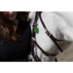 READY MADE - BLACK ENGLISH BRIDLE and REINS made from Beta Biothane