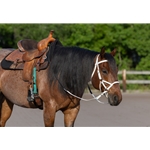 READY MADE - BLACK ENGLISH BRIDLE and REINS made from Beta Biothane