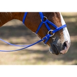 READY MADE - BLACK ENGLISH BRIDLE and REINS made from Beta Biothane