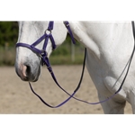 READY MADE - BLACK ENGLISH BRIDLE and REINS made from Beta Biothane