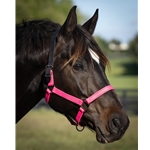 READY MADE - BLACK HALTER Made from Beta Biothane