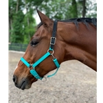 READY MADE - BLACK HALTER Made from Beta Biothane