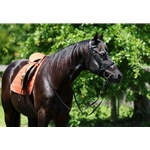 READY MADE - BLACK ENGLISH BRIDLE and REINS made from Beta Biothane