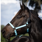 READY MADE - BLACK HALTER Made from Beta Biothane