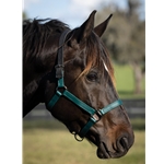 READY MADE - BLACK HALTER Made from Beta Biothane