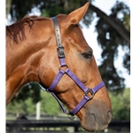 READY MADE - BLACK HALTER Made from Beta Biothane