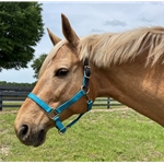 READY MADE - BLACK HALTER Made from Beta Biothane