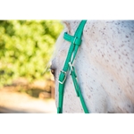 Kelly Green Bridle made from Beta Biothane