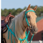 Teal Bridle made from Beta Biothane