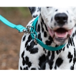 DOG COLLAR made from TEAL BETA BIOTHANE