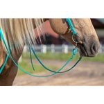 Teal RIDING REINS (Solid Colored) made from BETA BIOTHANE