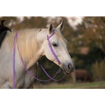 purple Bridle made from Beta Biothane