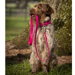 DOG COLLAR made from Raspberry Pink BETA BIOTHANE