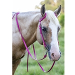 Raspberry Pink  Bridle made from Beta Biothane