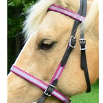 bluedayglooverlay  REFLECTIVE English Convert-A-Bridle 